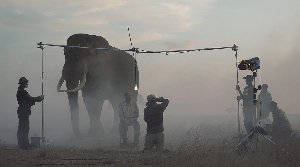 Nick Brandt photographing on The Day May Break, Zimbabwe.