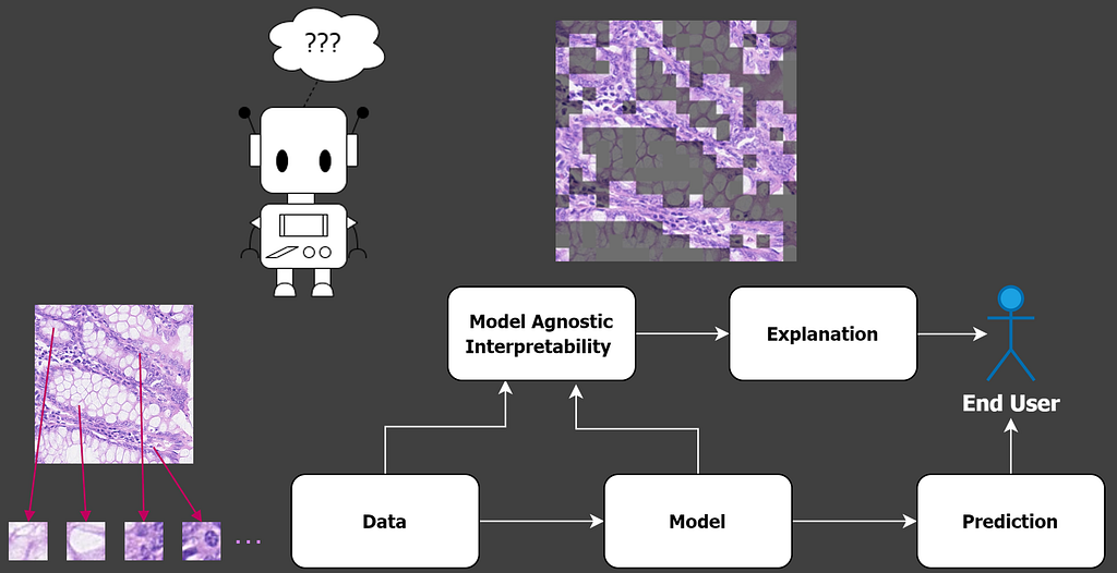 A diagram showing how model agnostic interpretability, which provides explanations to an end user, sits above the level of model prediction.