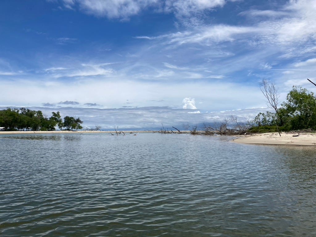 Image of the mouth channel of Sulaman Lake Mangrove Forest Reserve in Tuaran, Sabah.
