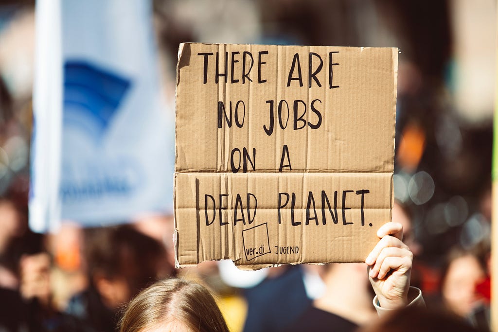 a Zoomer holding a sign “THERE ARE NO JOBS ON A DEAD PLANET”