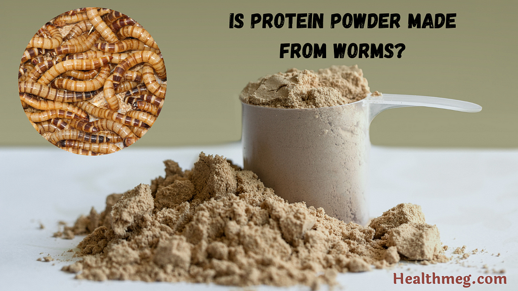 From Whey to Worms: Is Protein Powder Made From Worms?