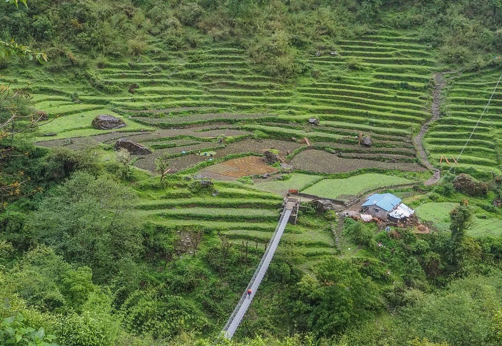 Crop fields in Nepal