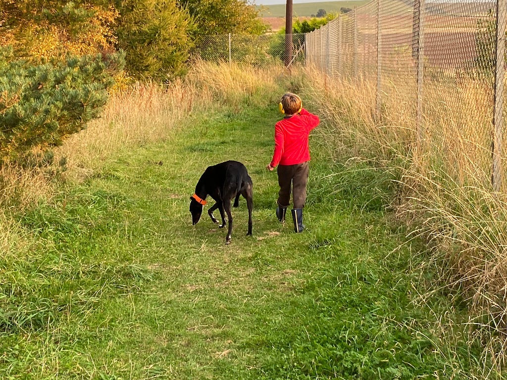 My nephew walks Harry, our dog, in one of 2020’s brief highlights.