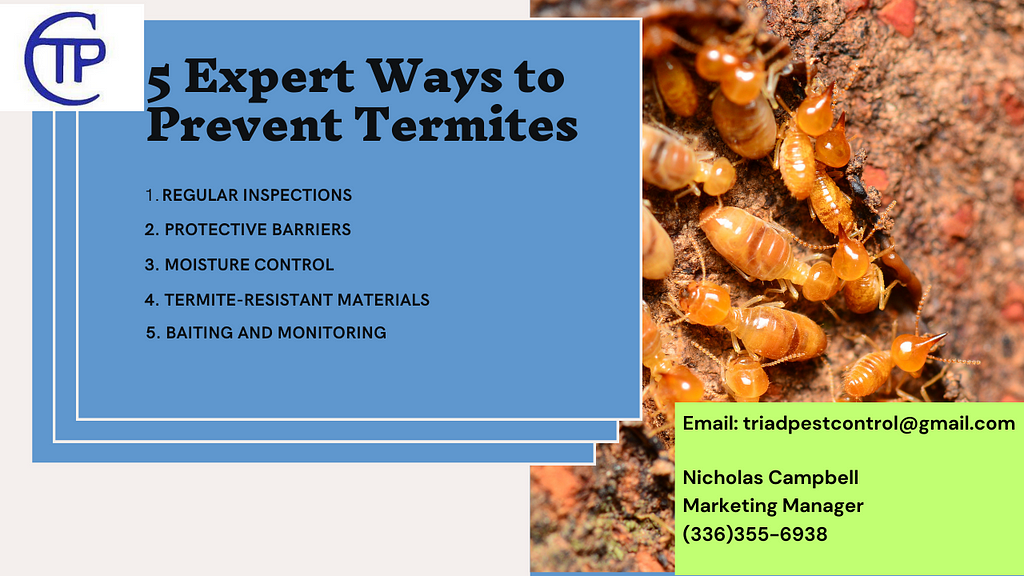 How to prevent termites