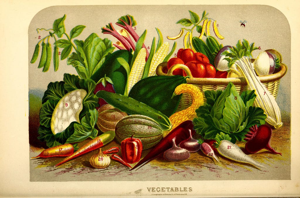 a portrait of a large variety of colorful vegetables