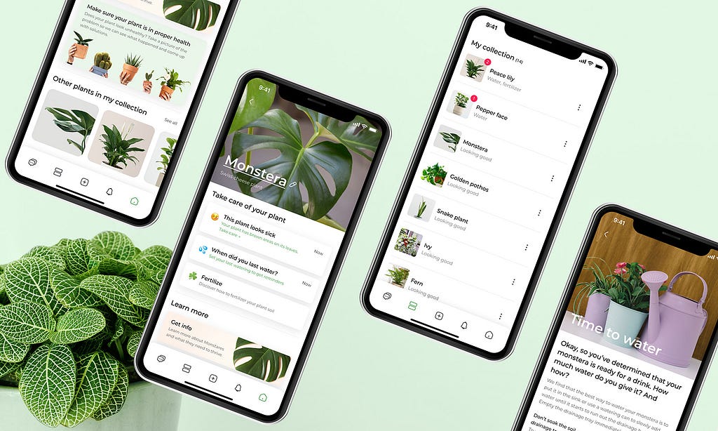 Case study: Help people grow houseplants successfully using a mobile ...