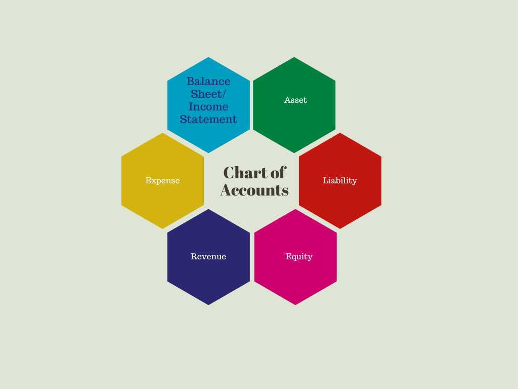 Accounting elements in Chart of Accounts