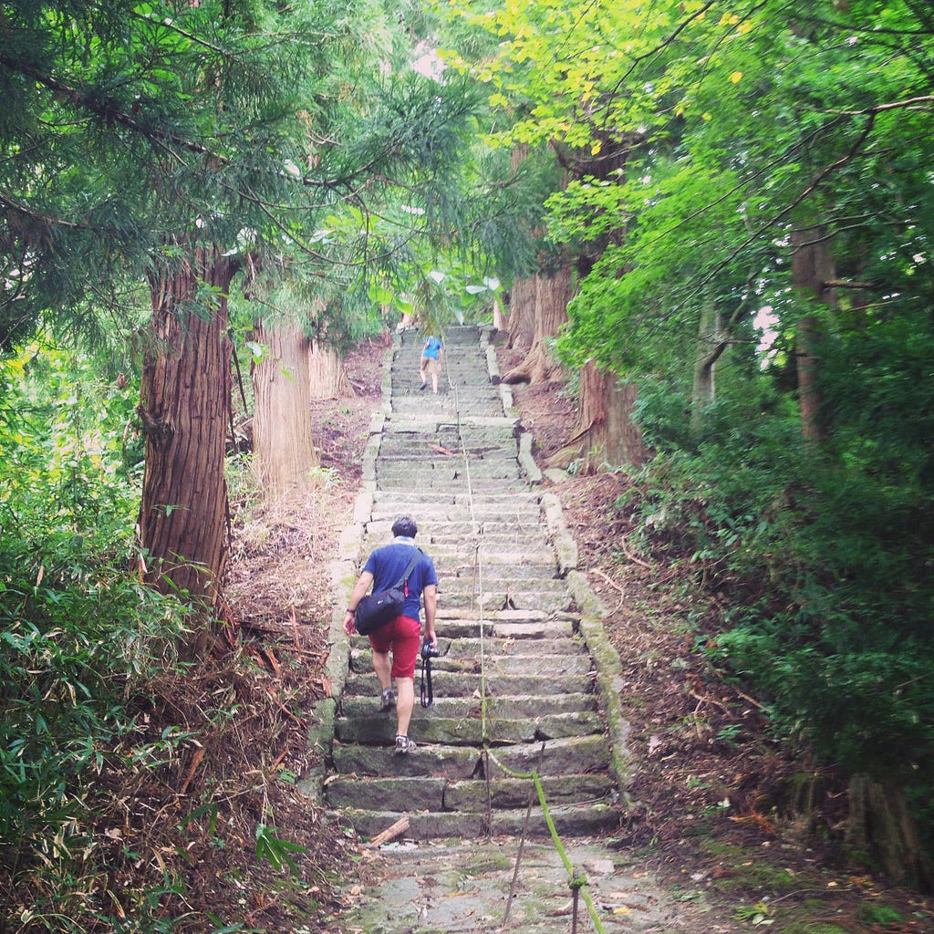 Man and boy walking up stone steps with green trees on either side.