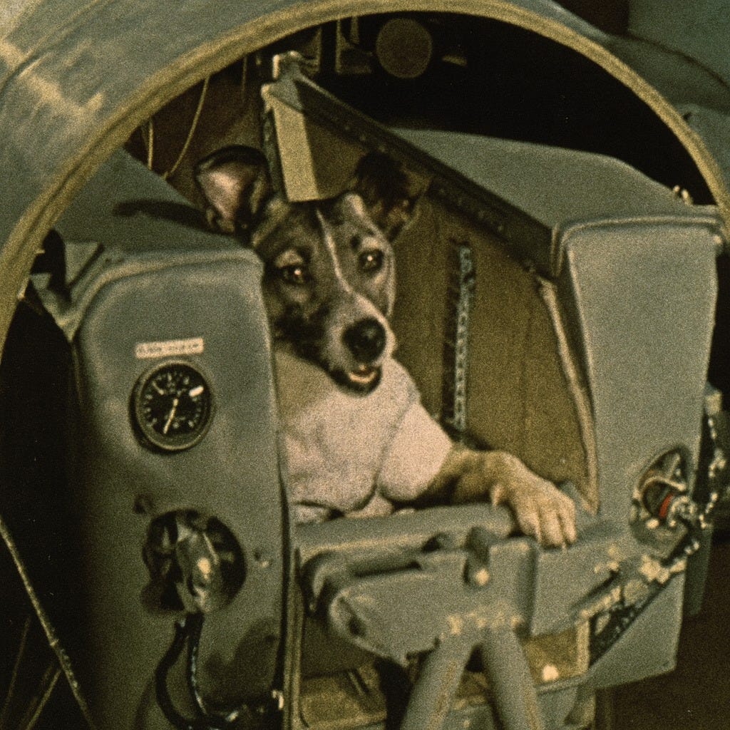Laika Didn’t Die for Science?—?She Was Murdered Without Consent