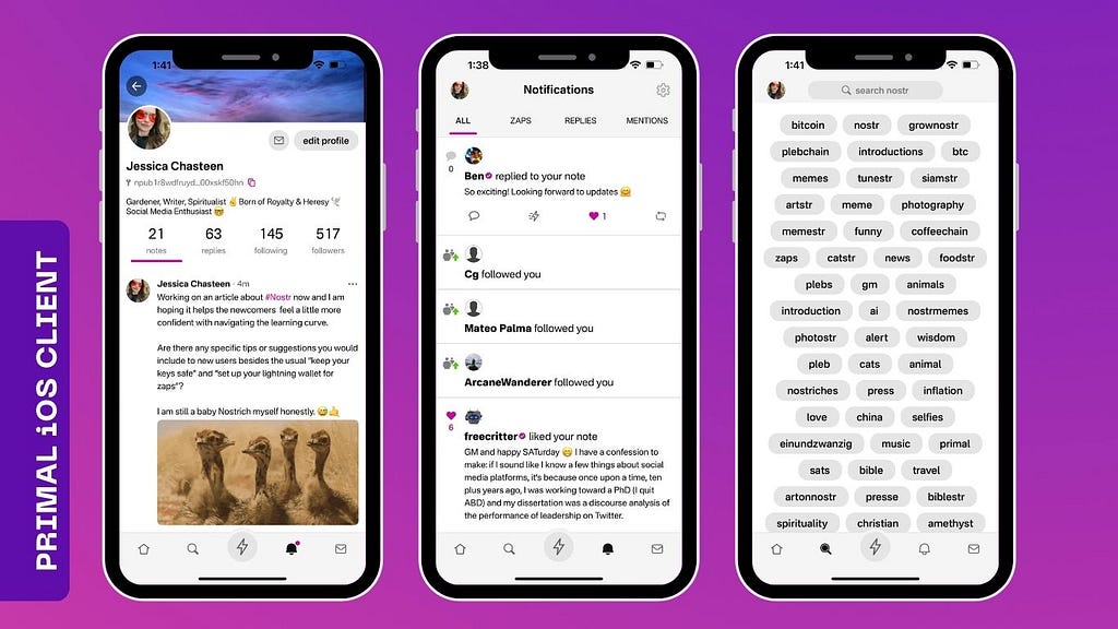 My profile view, notifications view, and search view on Primal, an iOS Nostr client.