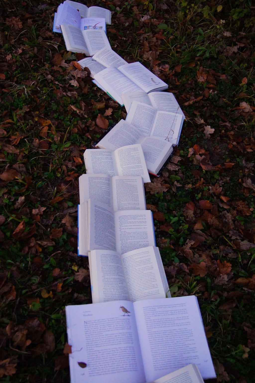 A line of books resembling a path