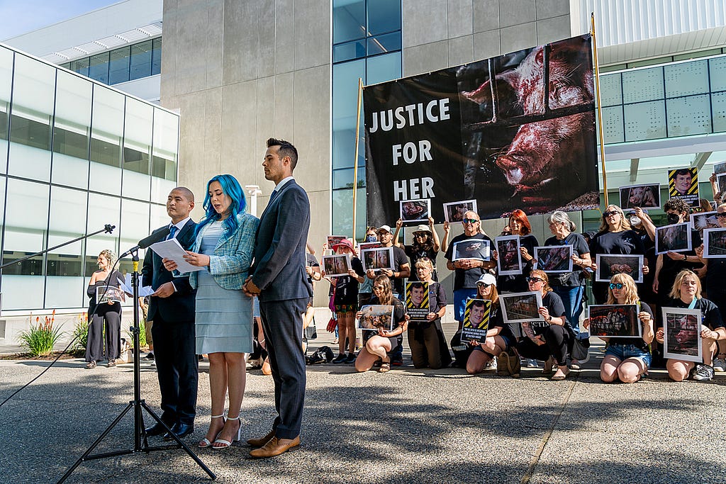 Activists Roy Sasano, Amy Soranno, and Nick Schafer speak to the media at a press conference and rally before their trial begins in Abbotsford, British Columbia. Animal advocates rallying behind them hold signs featuring images that were captured from inside the farm. Canada, 2022. Suzanne Goodwin / We Animals Media