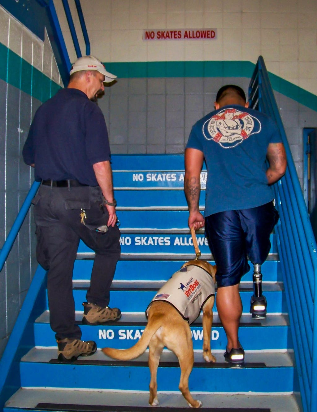 Photo of an American Vet Dog at work. Photo provided by America’s Vet Dogs.