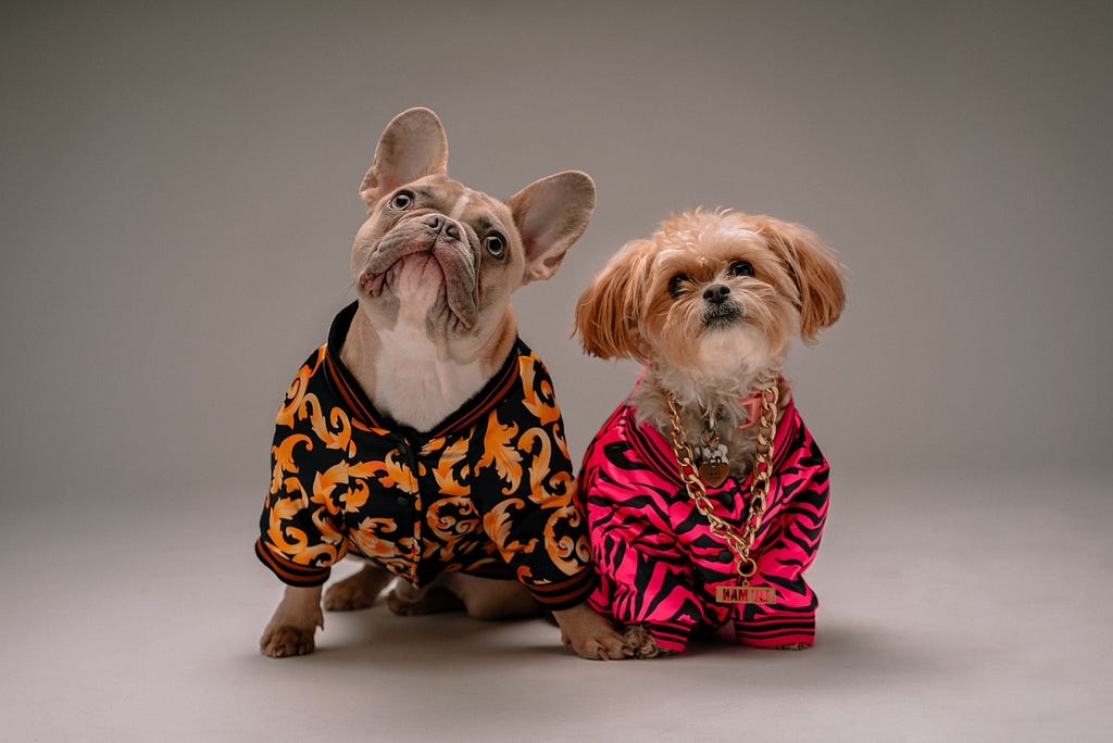 dog clothes, köpek kıyafetleri