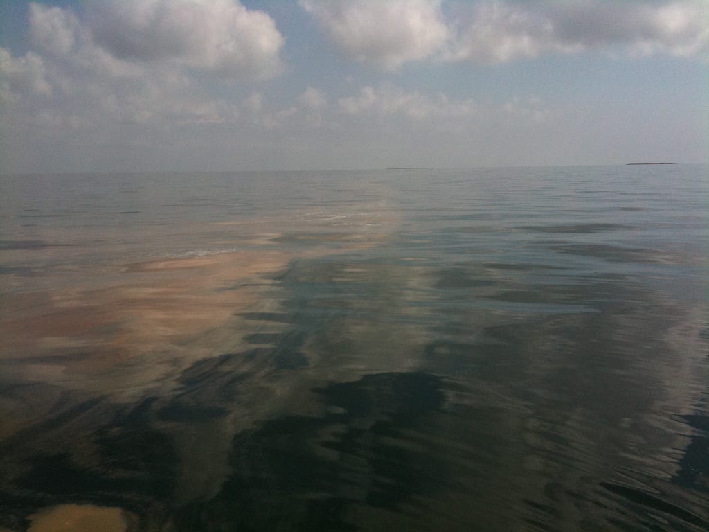 Waters in coastal Louisiana impacted by the BP oil spill in the spring of2010.