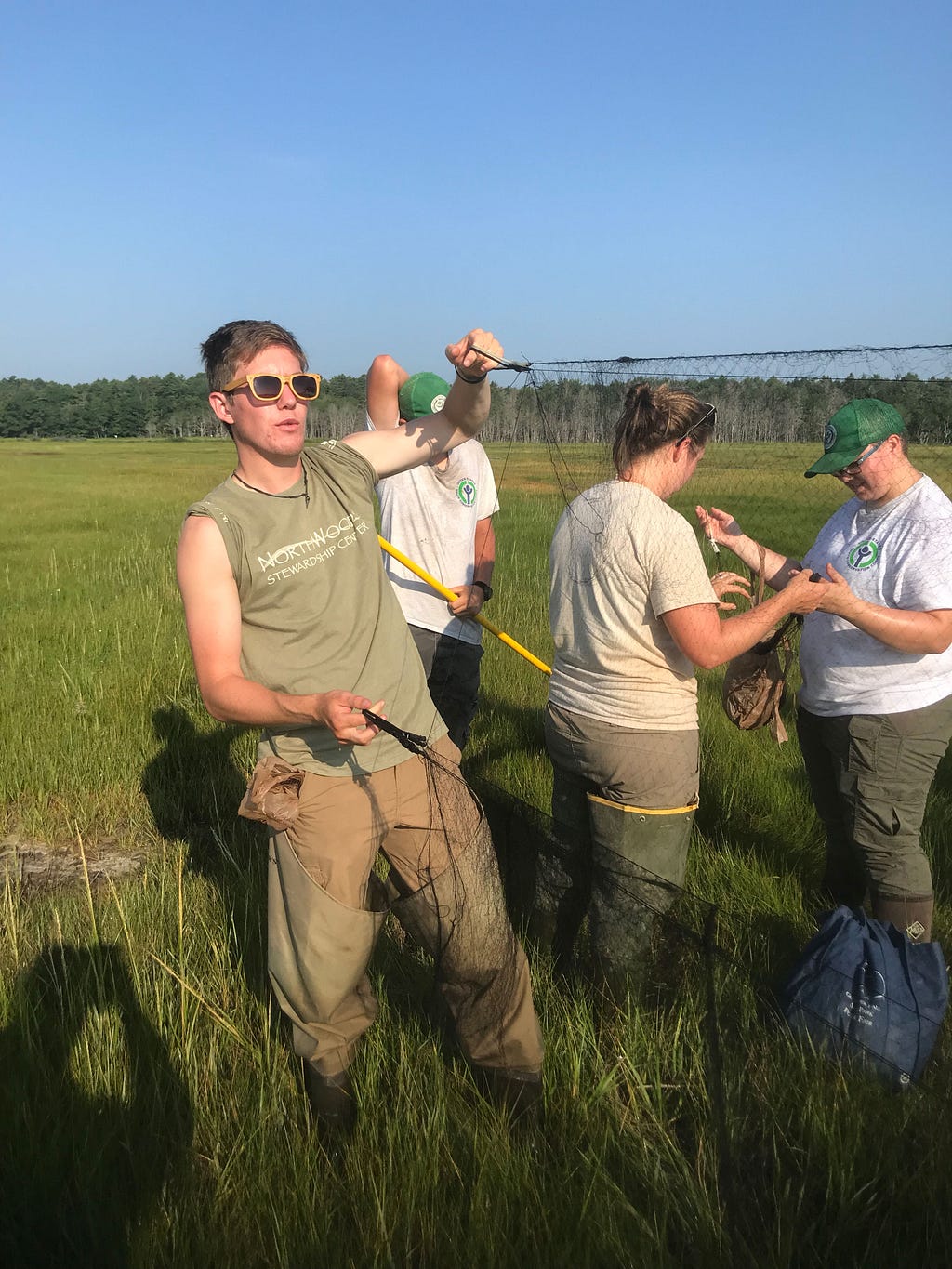 a man holds the end of a thin net in the marsh, while biologists work behind him