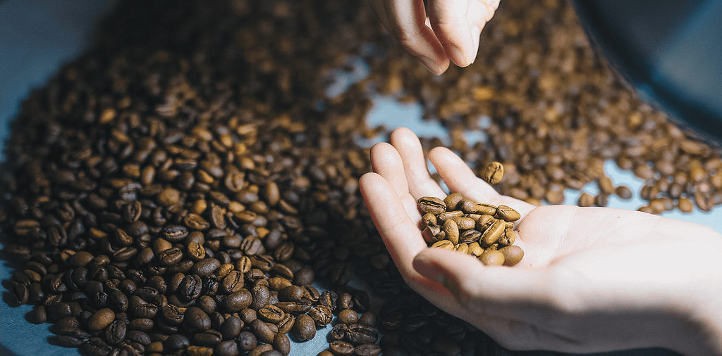 Specialty Coffee Beans, source : 43 Factory Coffee