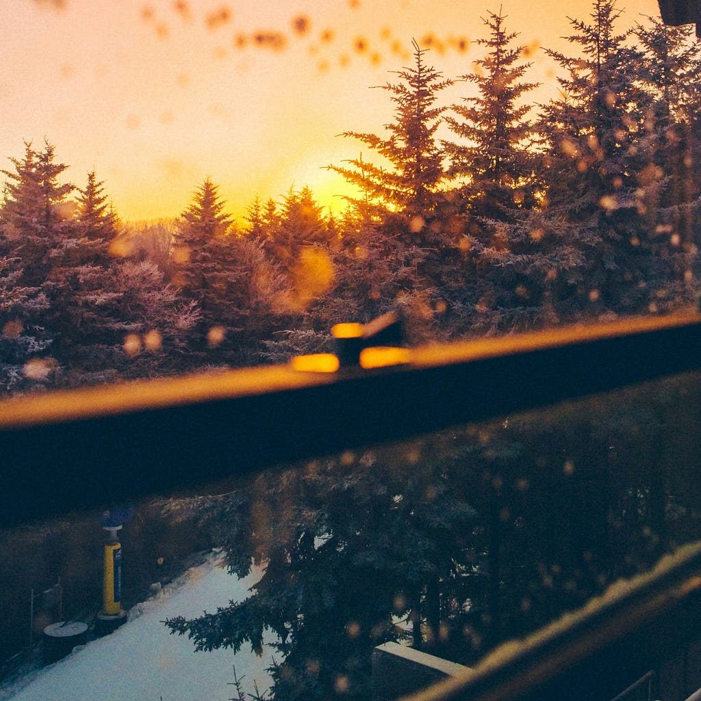 A forest outside a window