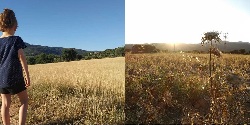 Kid on a sunny day, sorrounded by grass and clear sky on the left. And on teh right, the sun at distance glaring and vegetation around