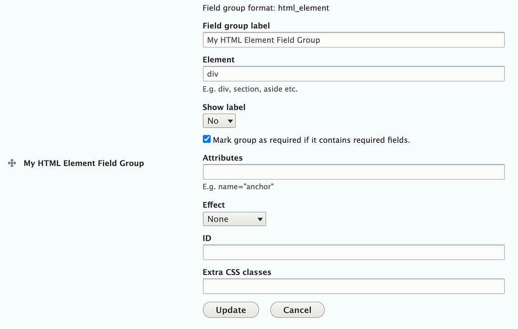 Screenshot of the options for the HTML element field group