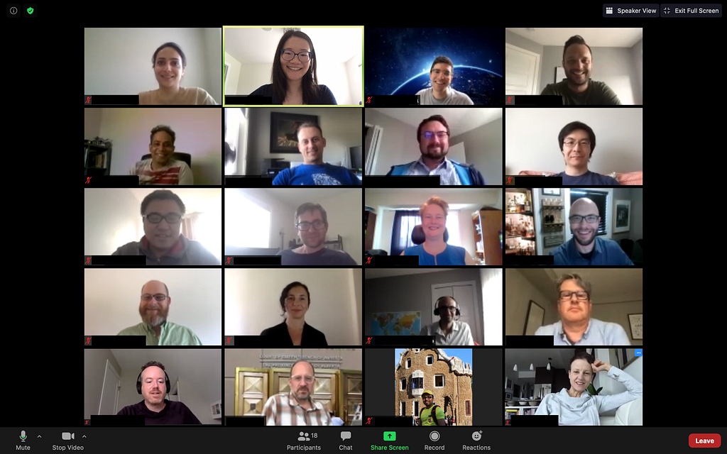 A screenshot of a video conference of 20 DIO team members, July 2020