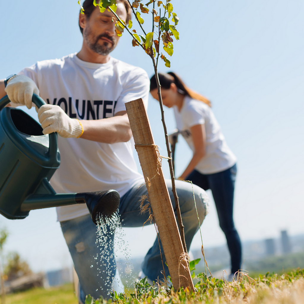 A man wearing a “Volunteer” t-shirt waters a newly planted tree while a woman in the background, also in a “Volunteer” t-shirt, digs a hole for another tree. The setting is outdoors with a city skyline visible in the distance.