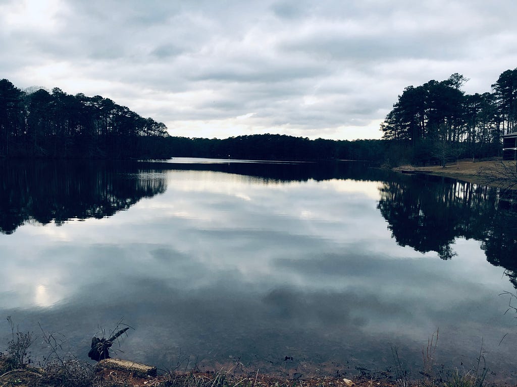 A view of the lake at Roosevelt State Park in Morton, Miss., a perfect spot for a moment of meditation and reflection.