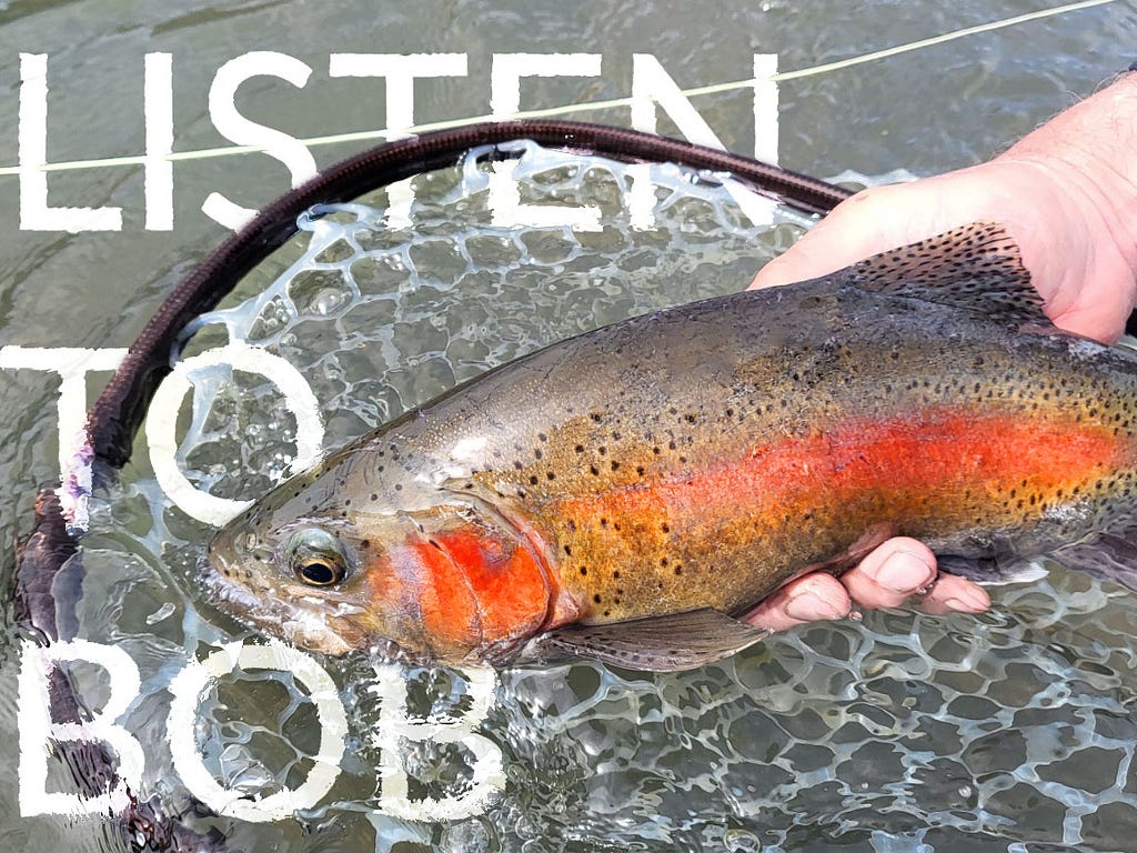 A rainbow trout lifted from a fishing net submerged in water. The text “Listen to Bob” appears on the left.