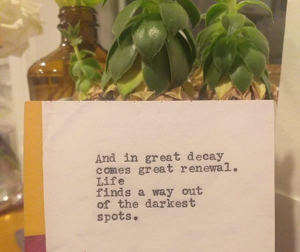 A postcard designed by Tyler Knott, propped up against a plant in the background. The card reads,  ‘And in great decay comes great renewal. Life finds a way out of the darkest spots’.