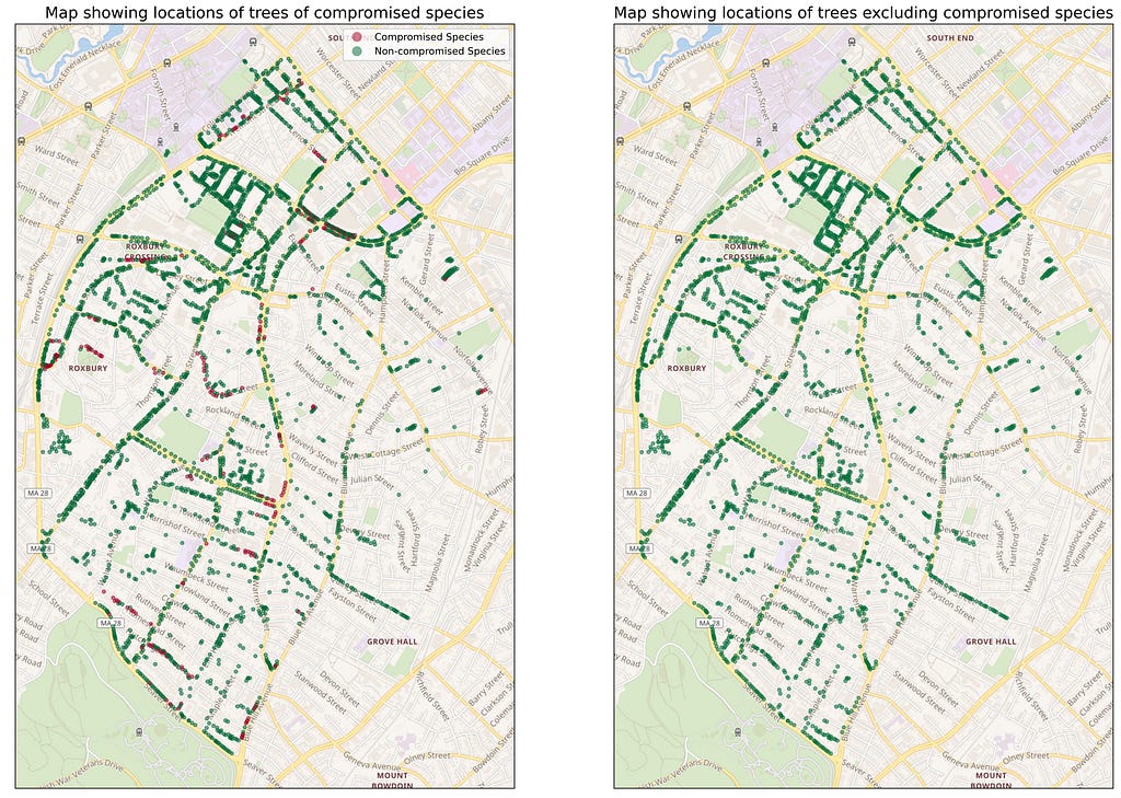 Side-by-side comparison of all and compromised trees in the Roxbury neighborhood