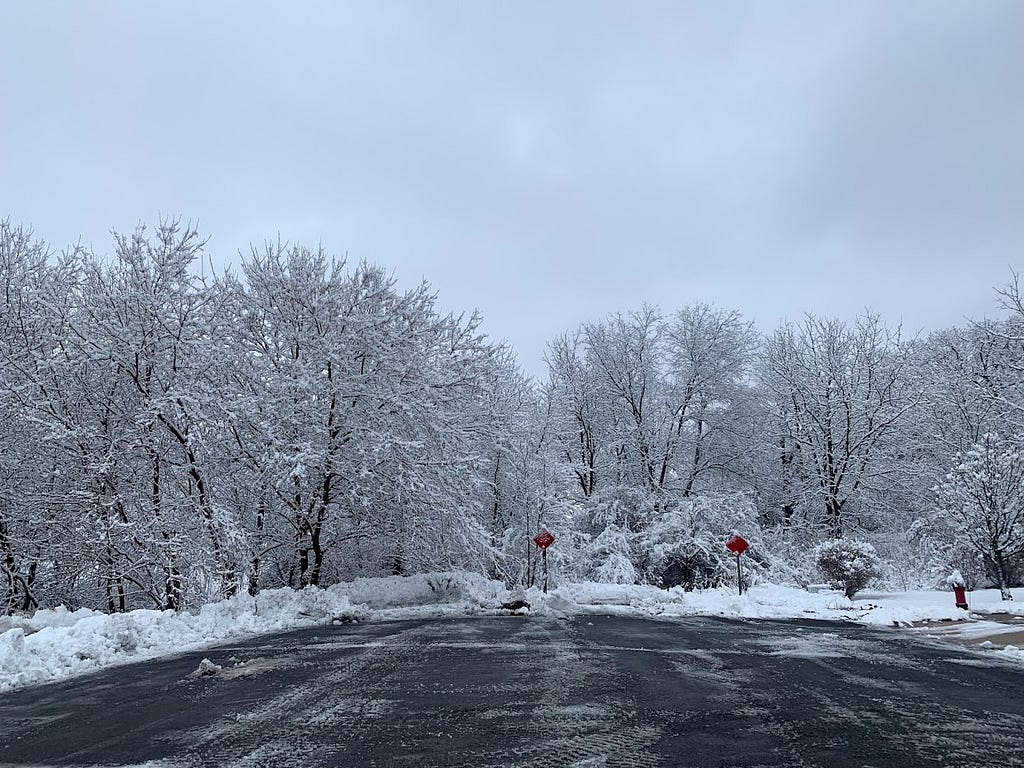 Snow covered trees on a dead-end road