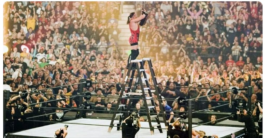 A ladder from a WWE episode