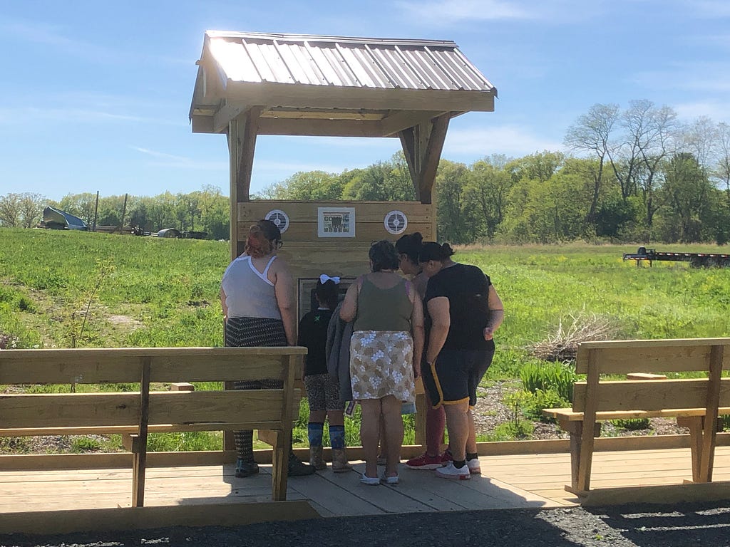 A group of people look at a kiosk showing video feeds from bird nests.