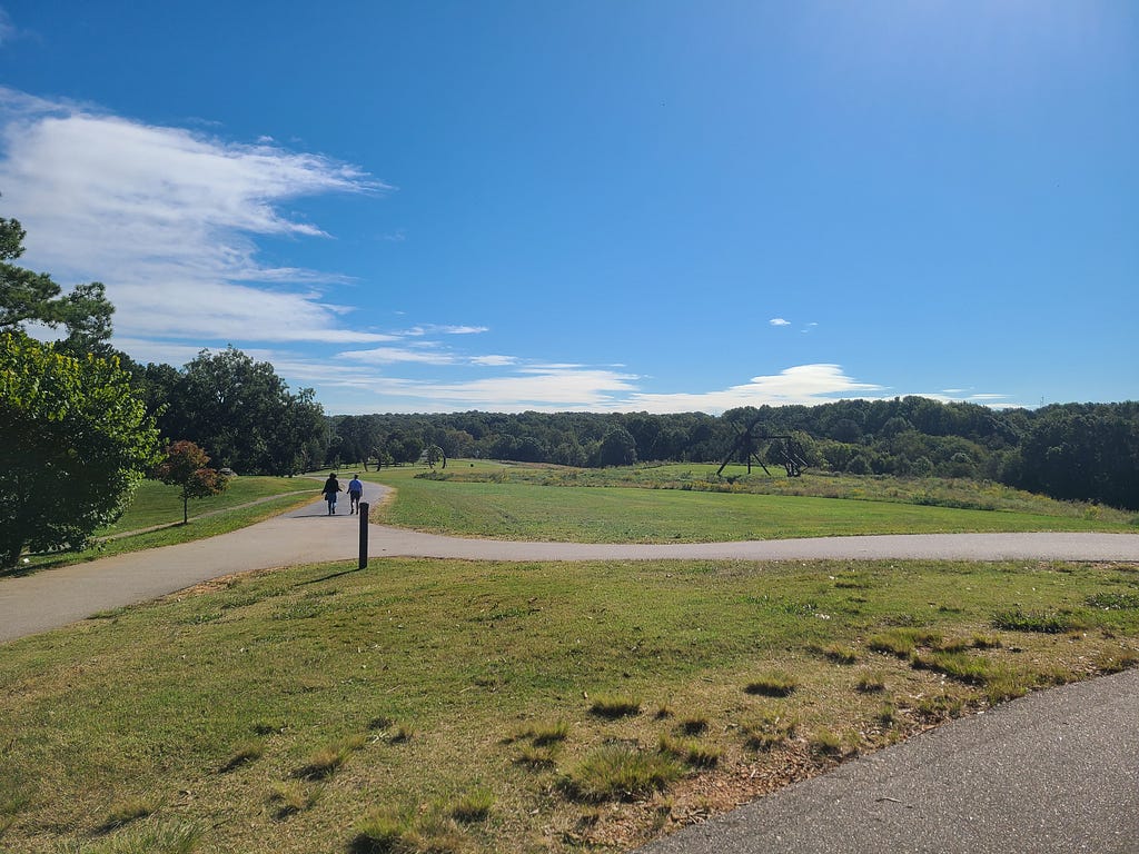 An open field with a walkway