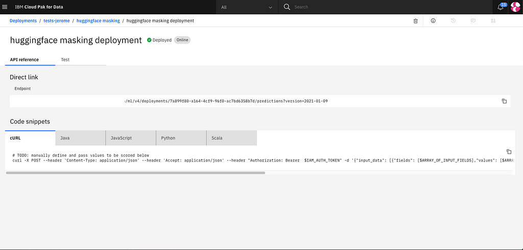 another screenshot of hugging face masking deployment