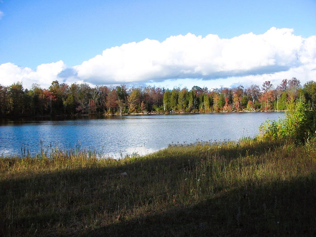 Curleys Lake waterfront entrance with trees and grass