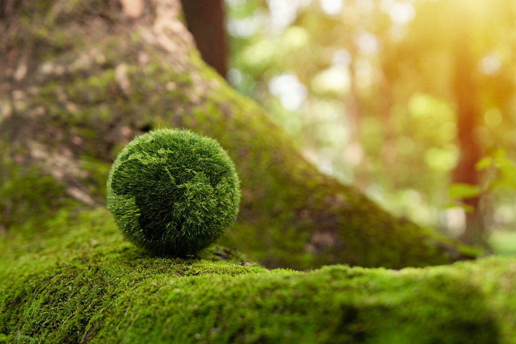 A globe made out of moss resting on a moss-covered tree root. Photo by Boy Wirat/Getty Images