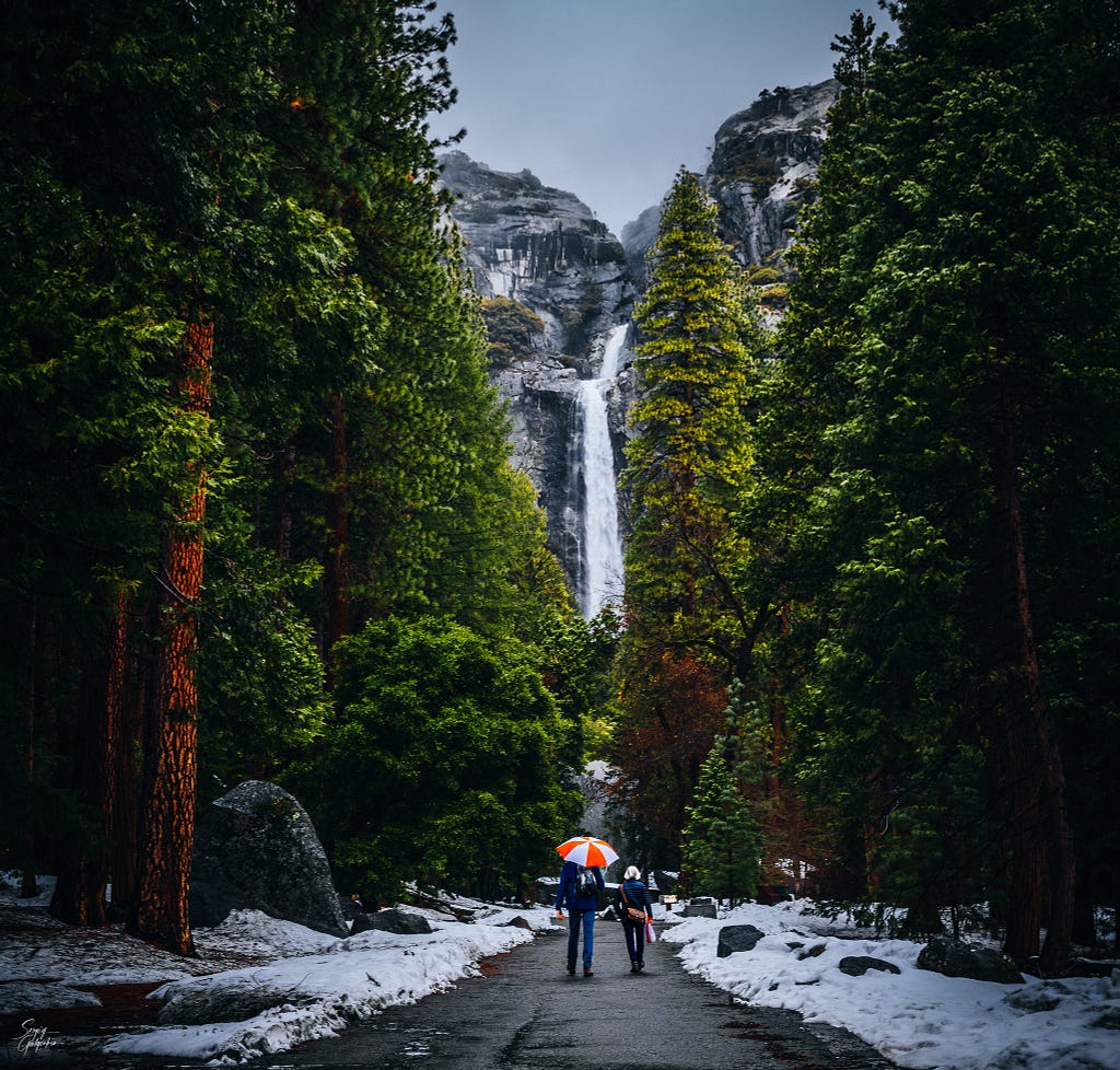 Yosemite Falls Trail View-Photo by Sergiy Galyonkin