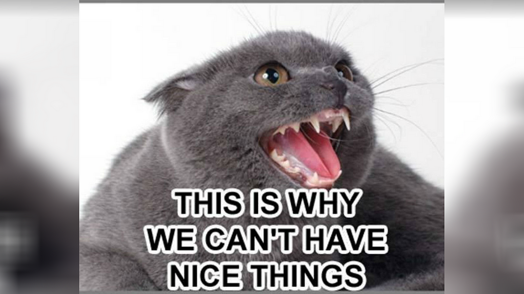 Meme of a cat hissing with the text, "This is why we can't have nice things."