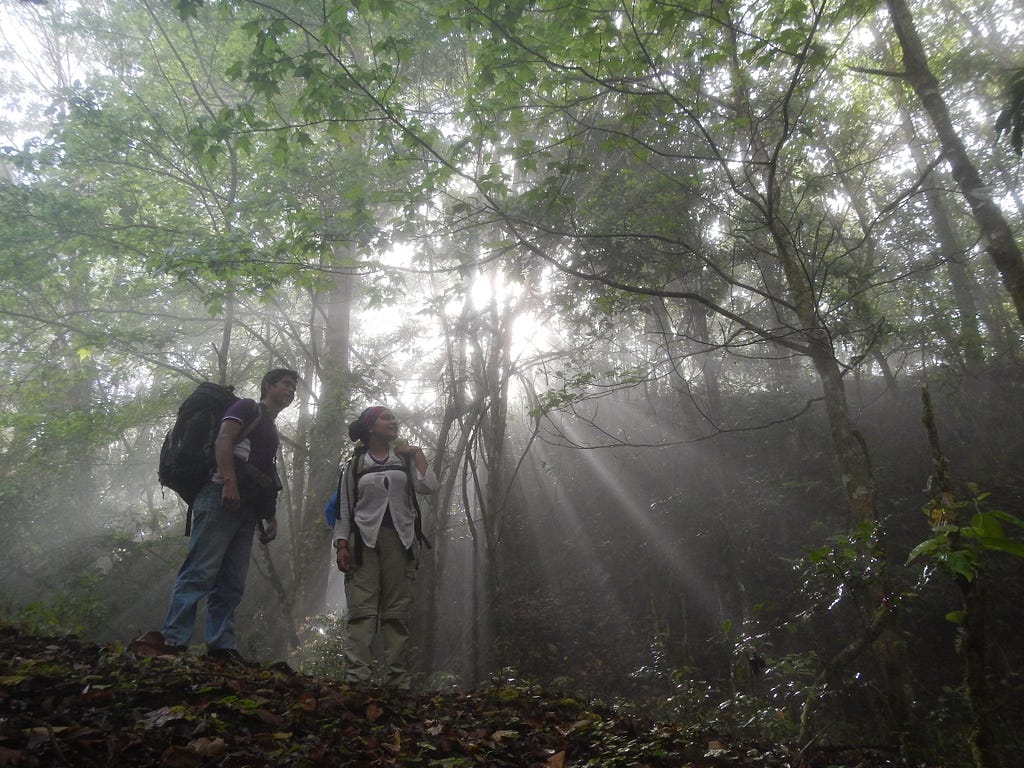 Gabriel, a directive member of Comon Yaj Noptic, on a field trip to the conservation area of the largest cloud forest in Mexico, which is owned by local communities. (Credit: La Mano del Mono)