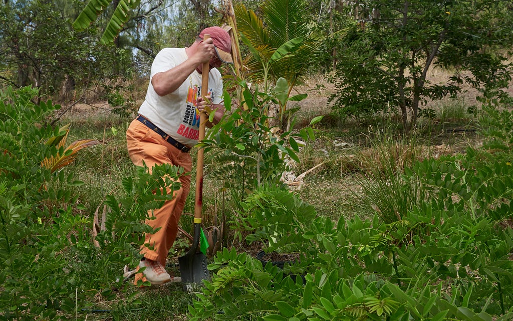 Andrew planting a Jamon tree (photograph by author)