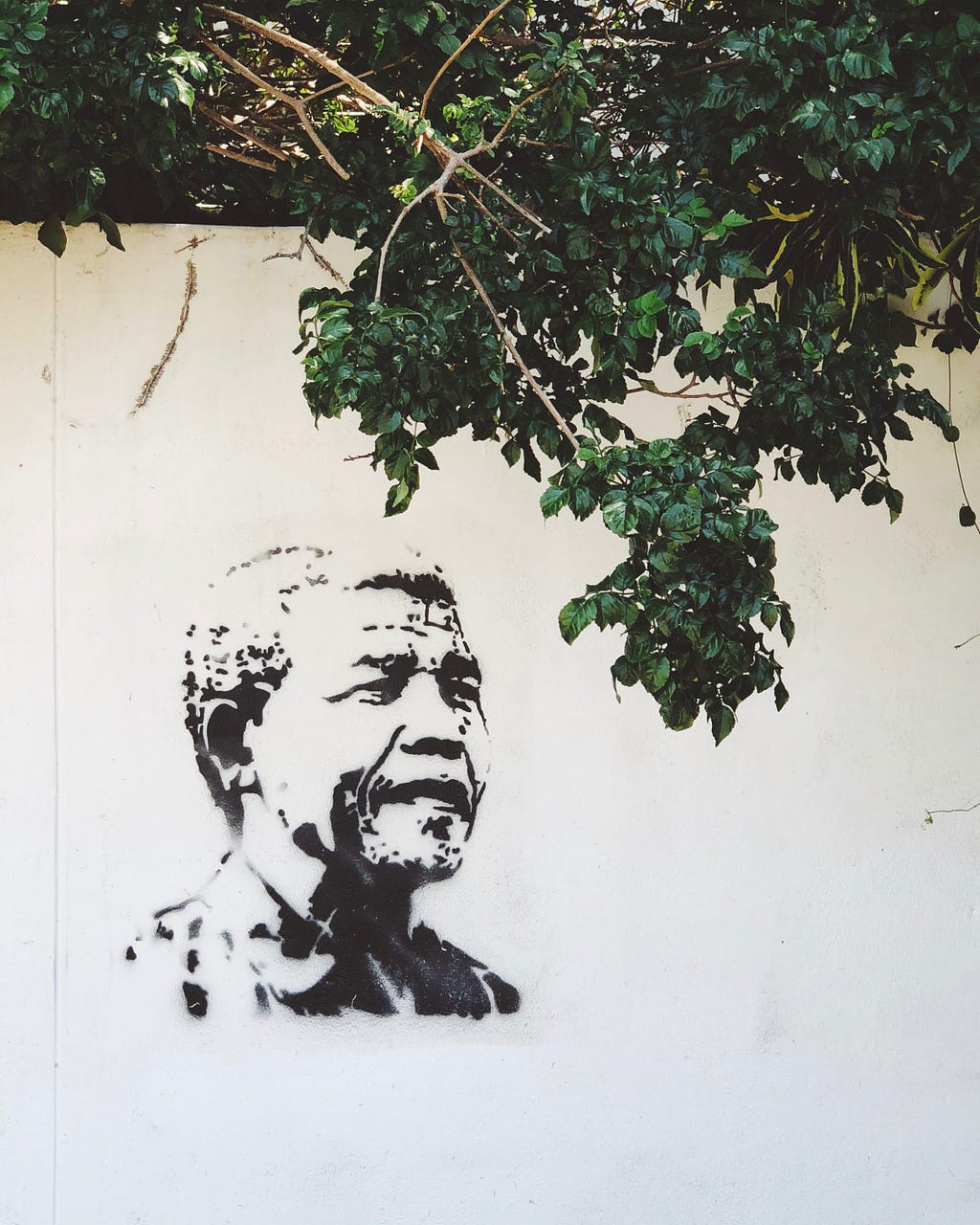Nelson Mandela wall art Photo by John-Paul Henry on Unsplash