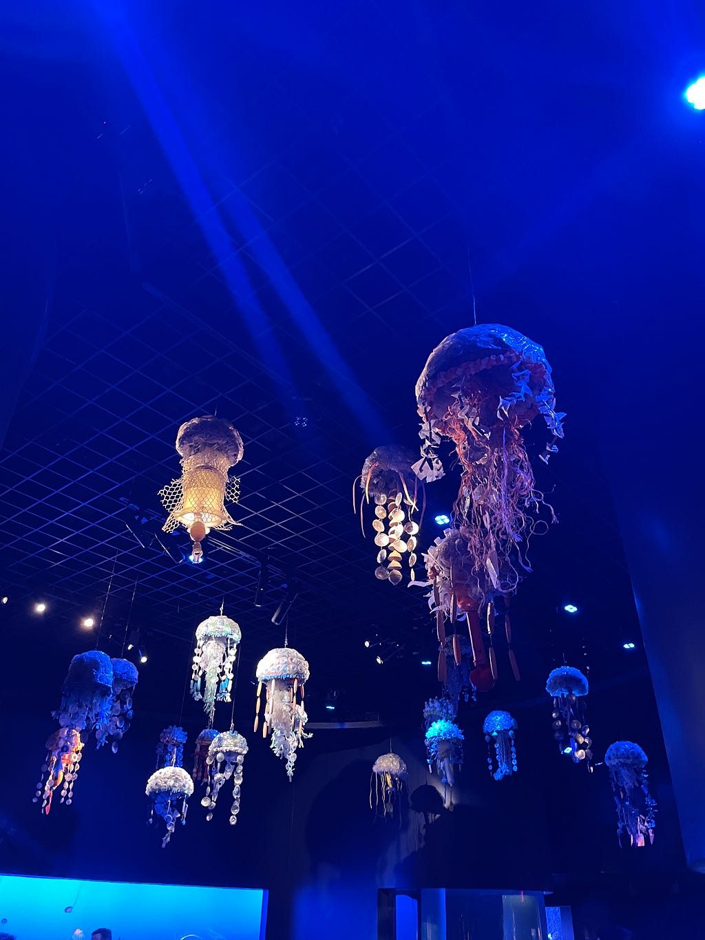 A smack of jellyfish made of repurposed ocean plastic hang at the New York Aquarium