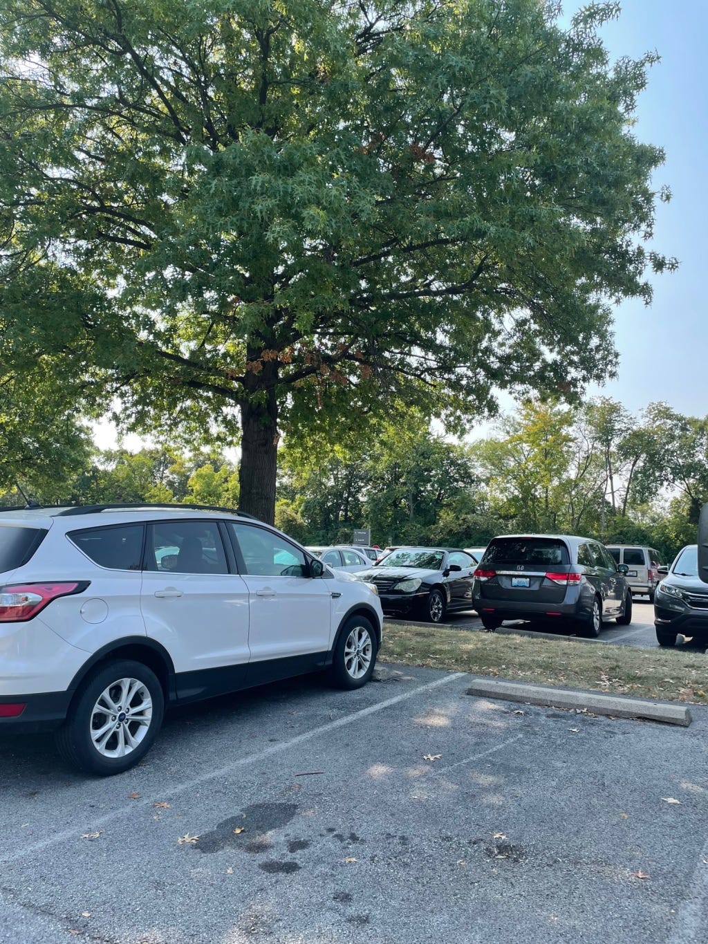 An open parking space in a busy parking lot