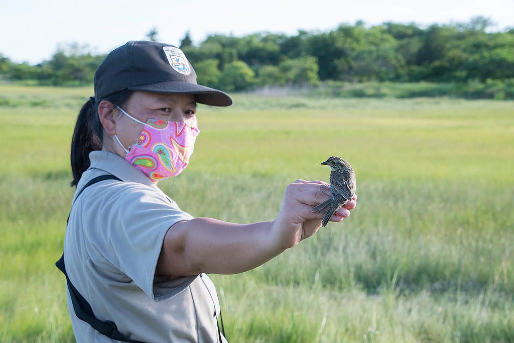 A woman in tan shirt and brown ball cap holds a small brown bird at arm’s length, with grass in background.