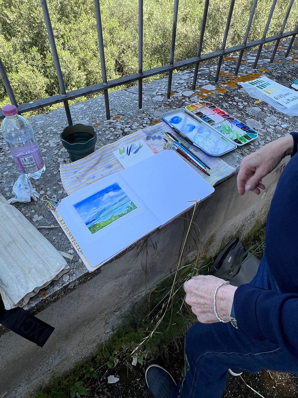 Photo of artist Roxanne Steed, painting “en plein air”… setup include watercolor journal, paint pallet, flexible watercup, scratch pad, and towel for dabbing paint brush.