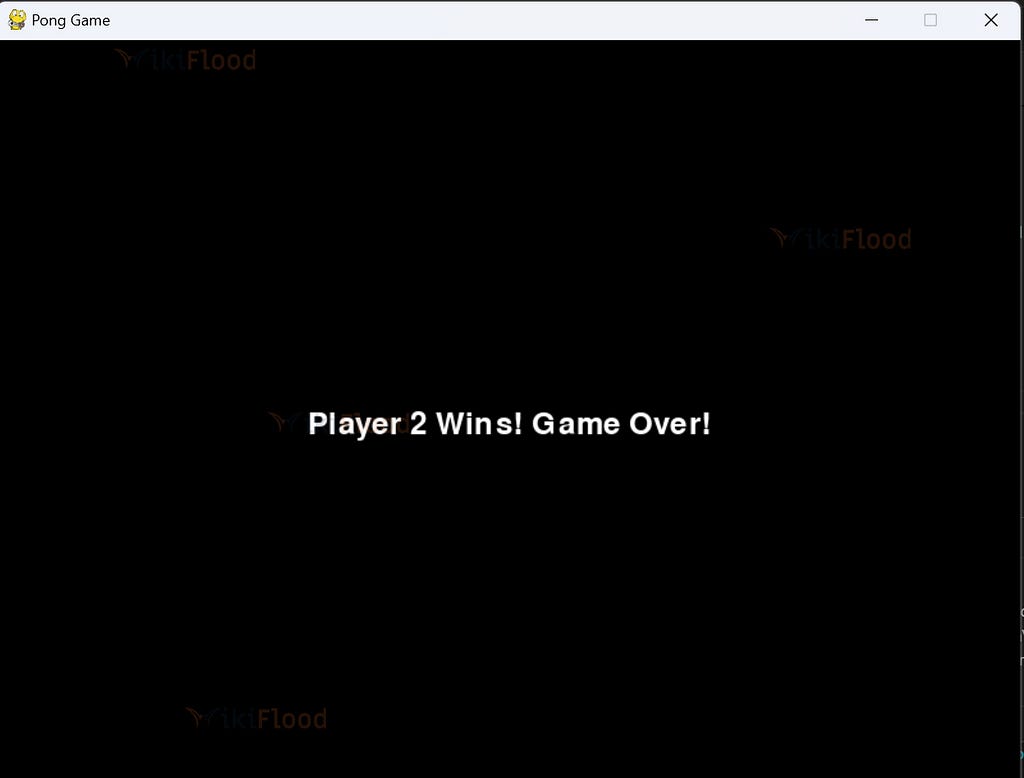 Pong Game Output Project