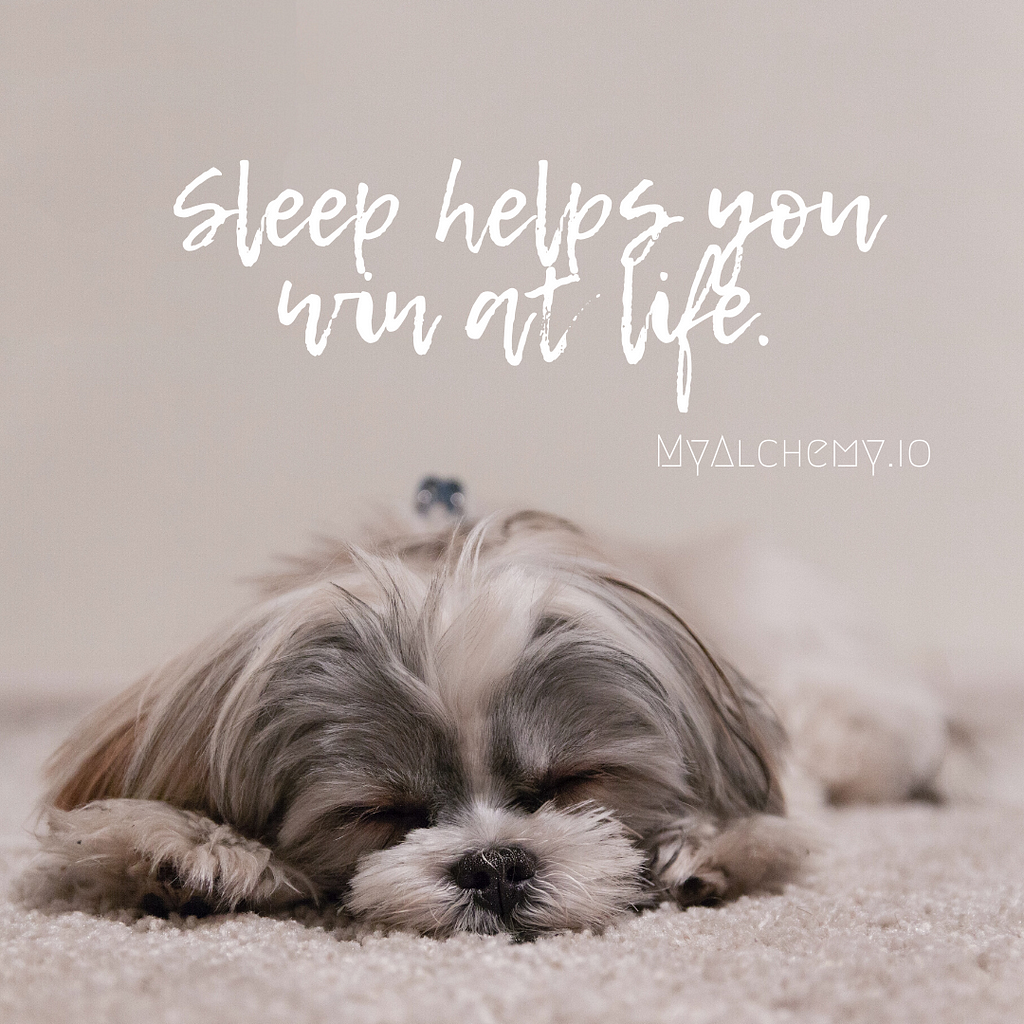 Image of sleeping puppy. “Sleep helps you win at life.”