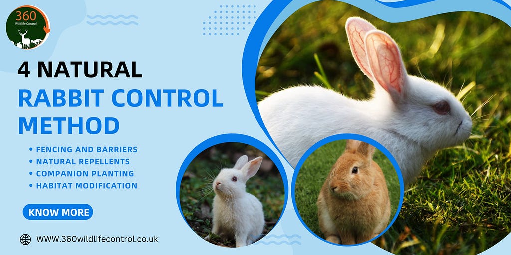 rabbit control Scotland