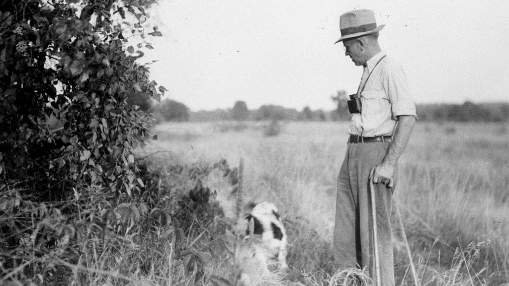 Conservationist Aldo Leopold and his dog, walking through an open meadow.